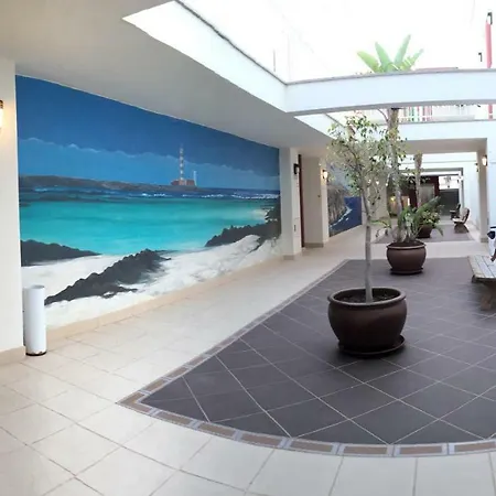 Hibisco * El Cotillo (Fuerteventura)